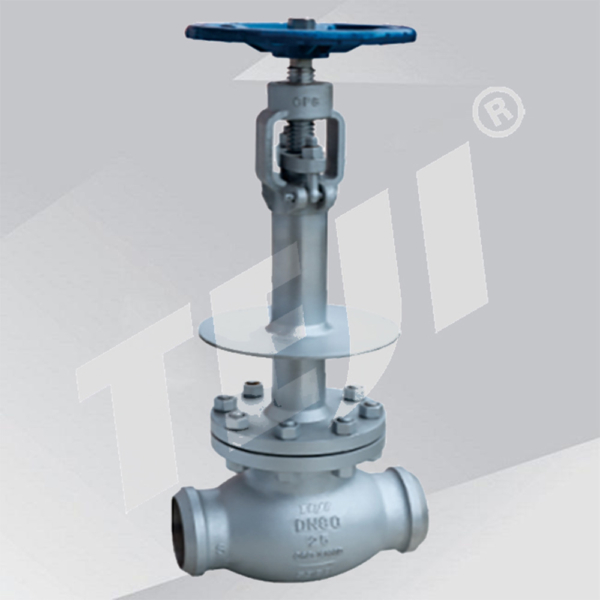 Cast Steel Cryogenic Globe Valve