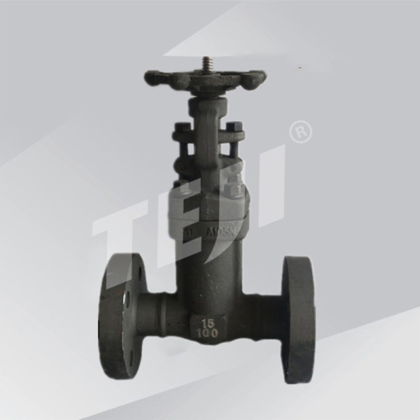 Bellow Seal Forged Gate Valve