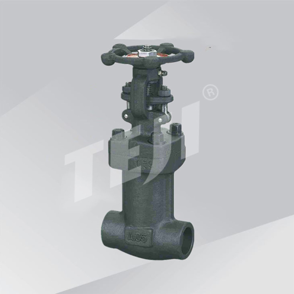 Bellow Seal Forged Globe Valve