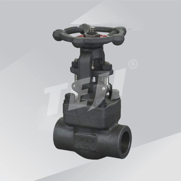 Bolted Bonnet Forged Gate Valve