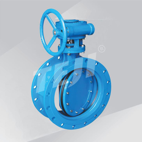 En Double Offset Butterfly Valve