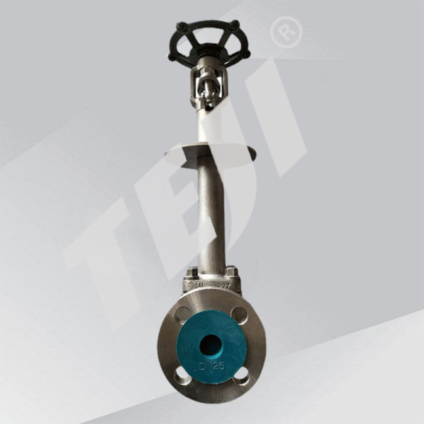 Forged Cryogenic Gate Valve