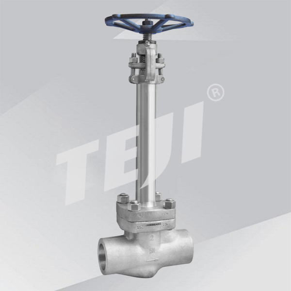 Forged Cryogenic Globe Valve