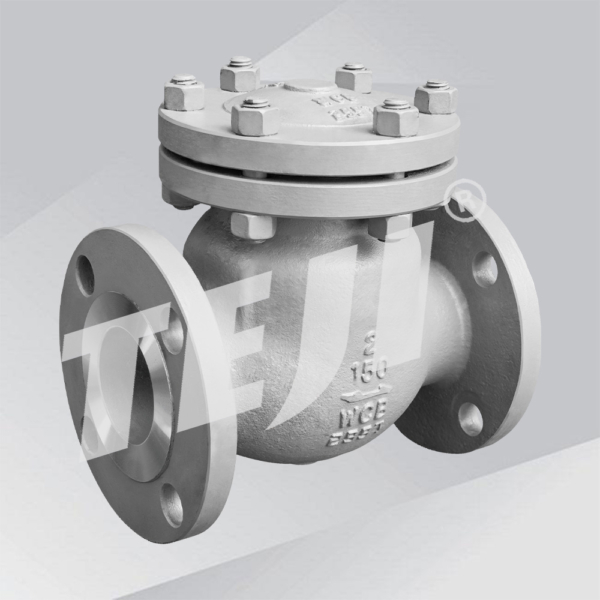 High Pressure Check Valve