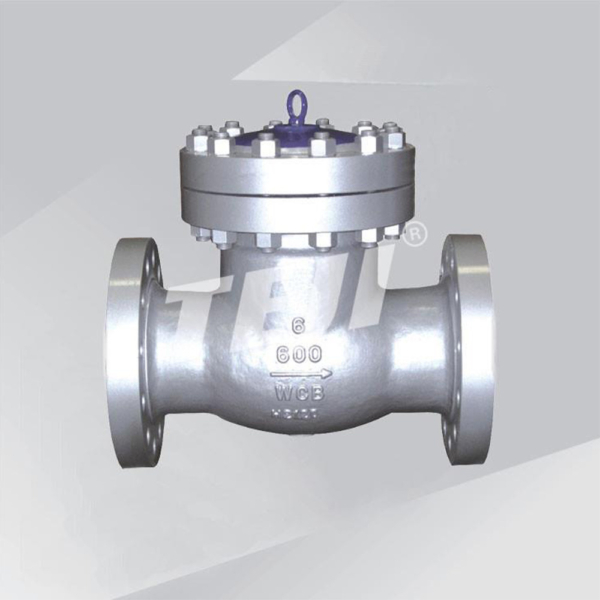 Lift Check Valve