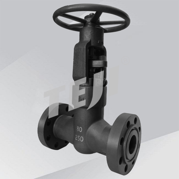 Pressure Seal Bonnet Forged Gate Valve