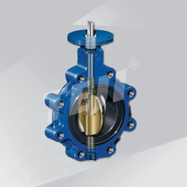 Resilient seated Concentric Butterfly Valve