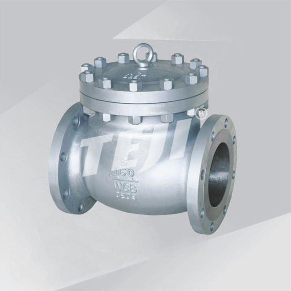 Swing Check Valve