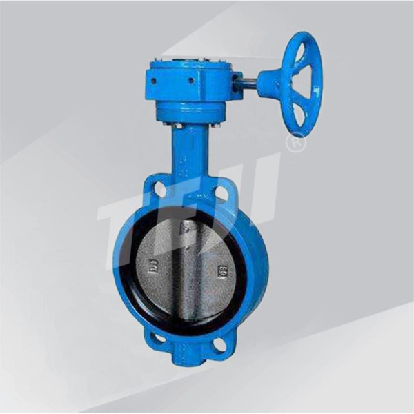 wafer type concentric butterfly valve