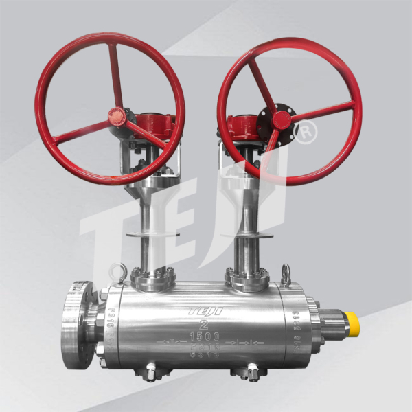 Cryogenic Double Block & Bleed Ball Valves